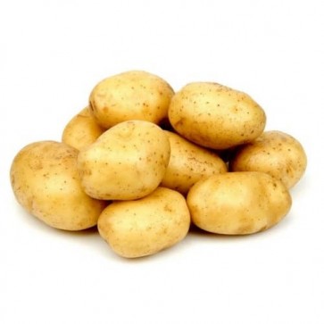 Batata