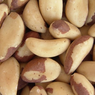 Castanha-do-Pará a cada 100g