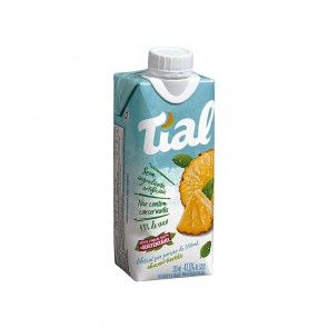 Nectar Abacaxi e Hortelã Baixa Caloria Tial 330ml 