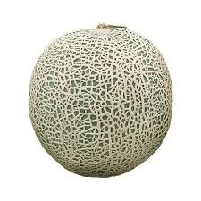 Melão Cantaloupe
