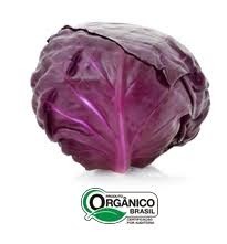 Repolho Roxo Orgânico 500g