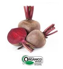Beterraba Orgânica 450g