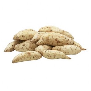 Batata Doce Branca