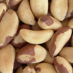 Castanha-do-Pará a cada 100g