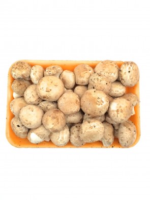 Cogumelo Castanho 300g