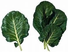 Couve Verde Molho