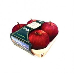 Maca Gala Orgânica Salute 600g 