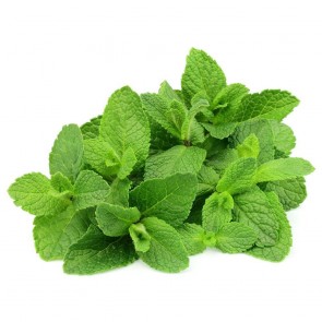 Hortelã Temperos Sul 16g