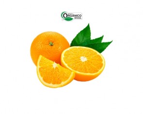 Laranja suco orgânica Coopeg 700g
