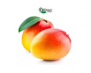 Manga Orgânica 500g