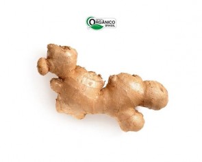 Gengibre Orgânico Econativa 200g 