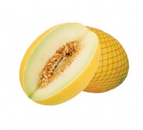 Melão Amarelo Redinha Formosa