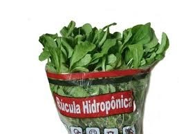 Rucula Hidroponica Super 1 Un