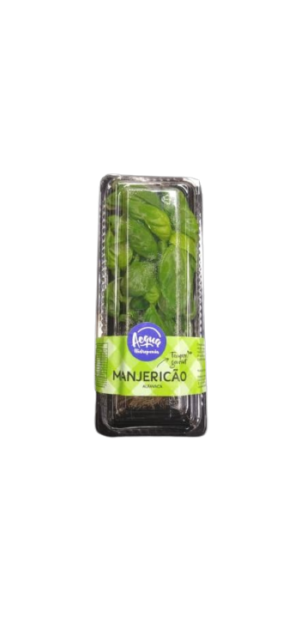 Manjericão Acqua Hidroponico 20g